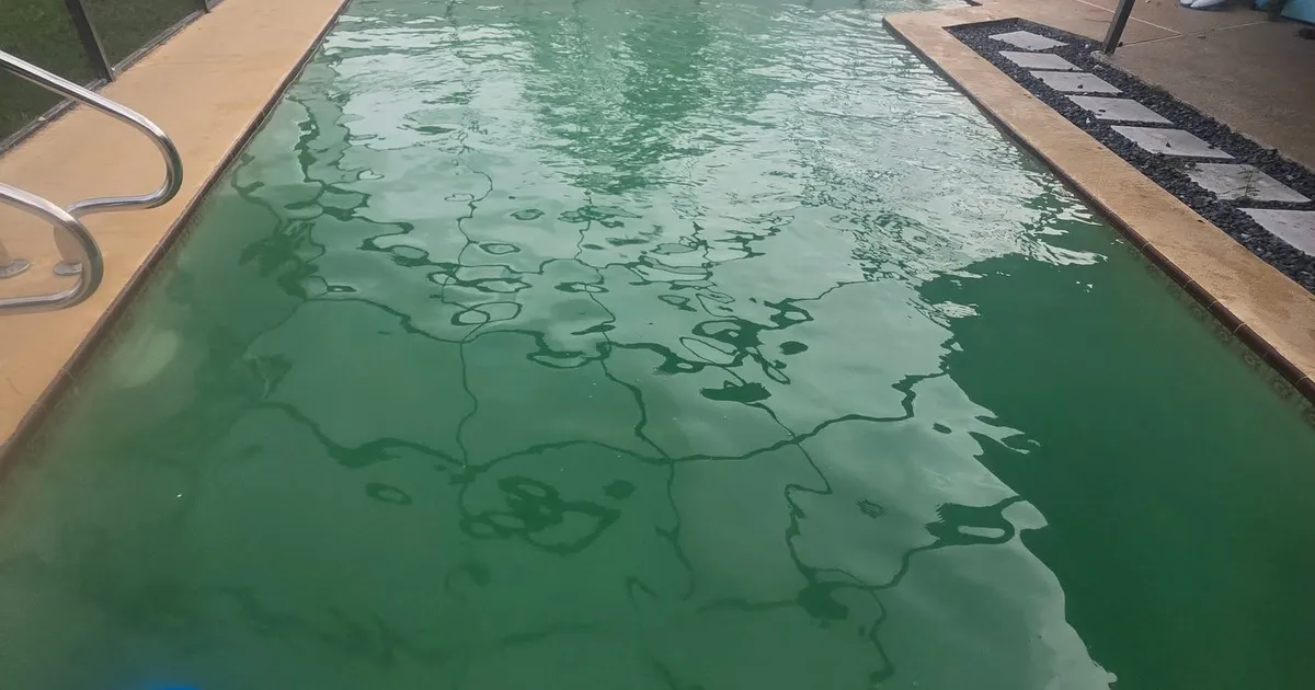 A pool turned green after skipped service visits